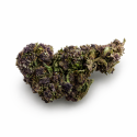 Purple Urkle D10 – fleur puissante aux nuances purple et effets intenses