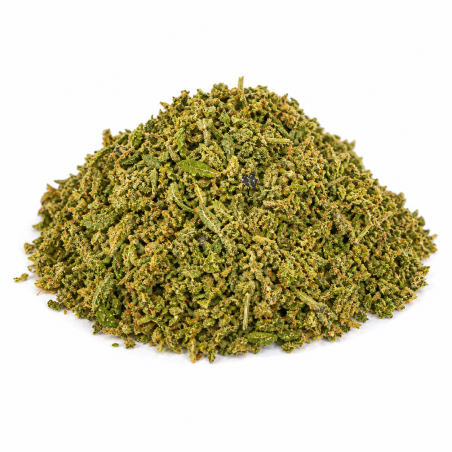 Fleur Delta 10 THC Mirt – format grindé, arômes fruités et puissance optimisée