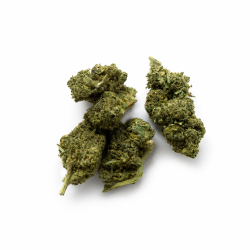 Fleur de CBD OBAMA RUNTZ DELTA 10 THC