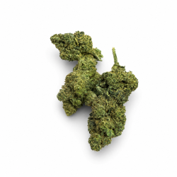 Fleur Orange Bud THCV-N10