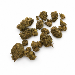 Fleur de CBD Tropical Hunter CBC