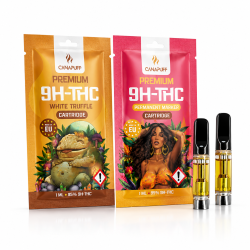 CANAPUFF Cartouche 9H-THC 95% 1ml Premium | CBD Garden