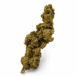 Fleur de CBD Lemon Samurai cbd pas cher puissant