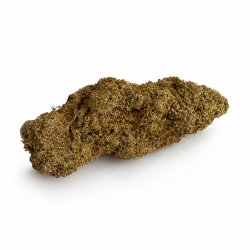Fleur Black Ghost HPE cbd effet court