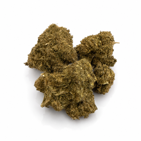 Fleur de CBD Diesel puissante premium CBD Garden