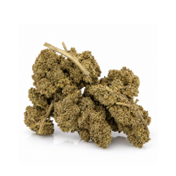 Fleur Black Haze HPE 8%