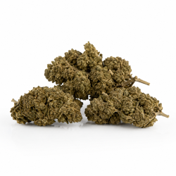Fleur de CBD Black Widow HPE 8% puissante et pas chère paris