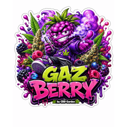 Fleur Gaz Berry THX / CBC sativa euphorique aux arômes fruités – CBD Garden
