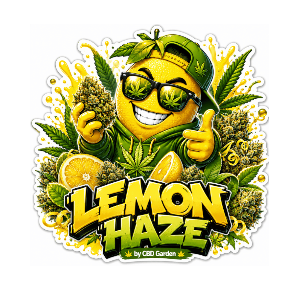 Fleur Lemon Haze THCV-N10 sativa puissante aux arômes citronnés – CBD Garden
