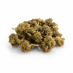 Fleur Lemon Haze THCV-N10 sativa puissante aux arômes citronnés – CBD Garden
