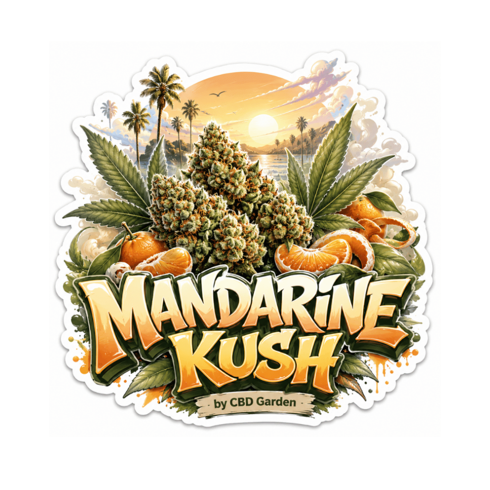 Fleur de CBD Mandarine Kush CBD Garden au goût fruité mandarine, Fleur de CBD puissante et naturelle
