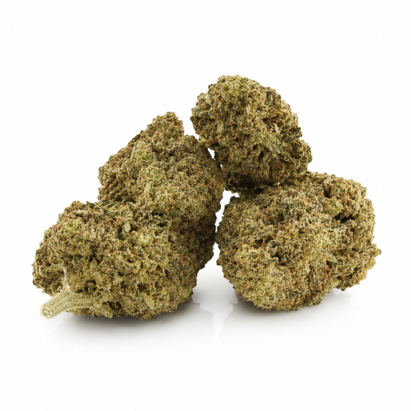 Fleur de CBD Gary Payton naturelle sans molécules