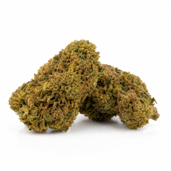 Fleur de CBD Sugar Cali made in France : une Fleur de CBD premium au goût sucré, sans cannabinoïde artificiel ajouté.