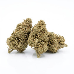 Fleur de CBD Magic Marker Indoor 20%
