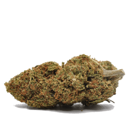 FLEUR DE CBD ORANGE BUD GLASS HOUSE - CBD GARDEN