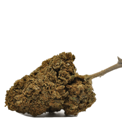 FLEUR DE CBD GREEN CALI INDOOR - CBD GARDEN