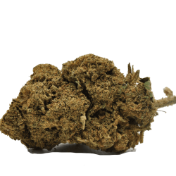 FLEUR DE CBD NEW YORK DIESEL - CBD GARDEN