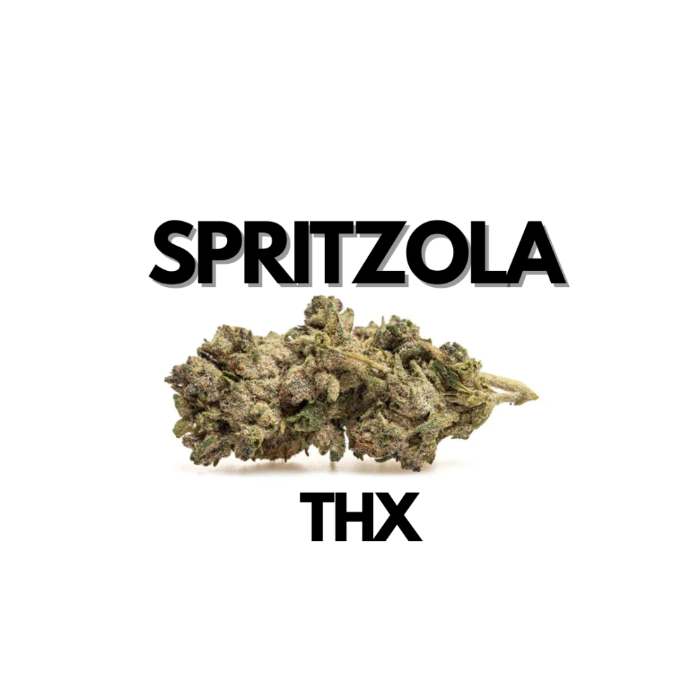 Fleur de CBD Spritzola N9 THX