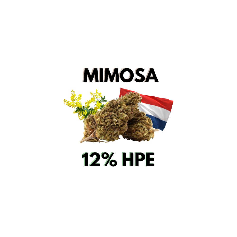 Fleur de CBD Hollande Mimosa HPE 12%