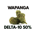 Fleur Wapanga Delta-10 50% – fleur CBD rare à effets puissants et maîtrisés