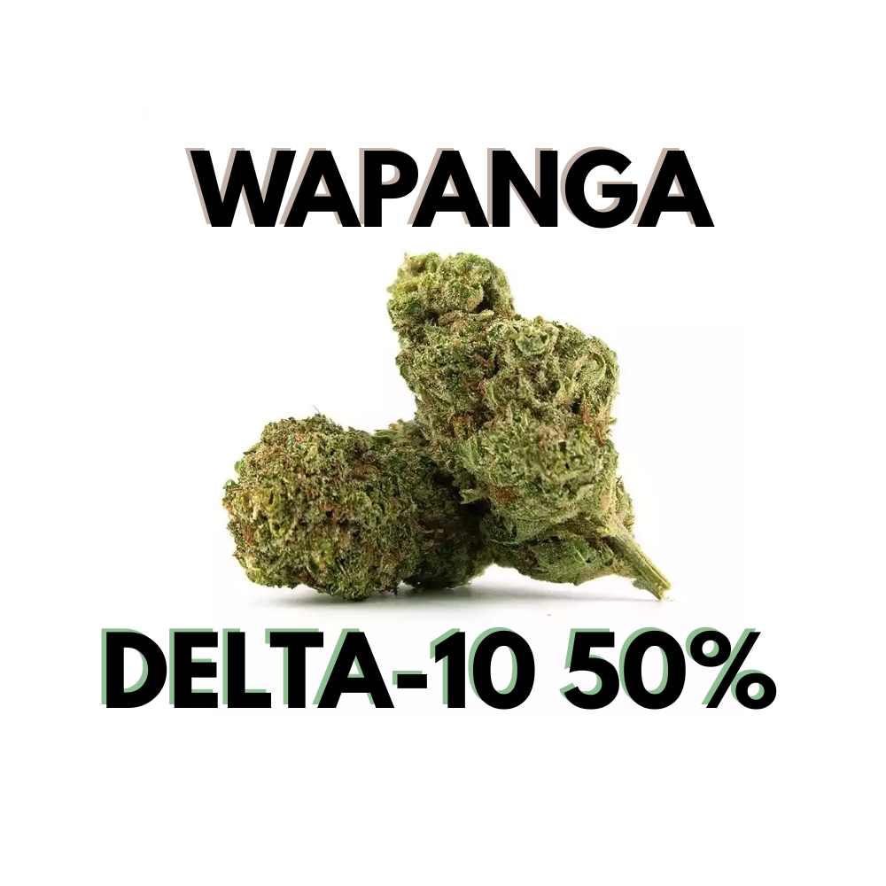Fleur Wapanga Delta-10 50% – fleur CBD rare à effets puissants et maîtrisés