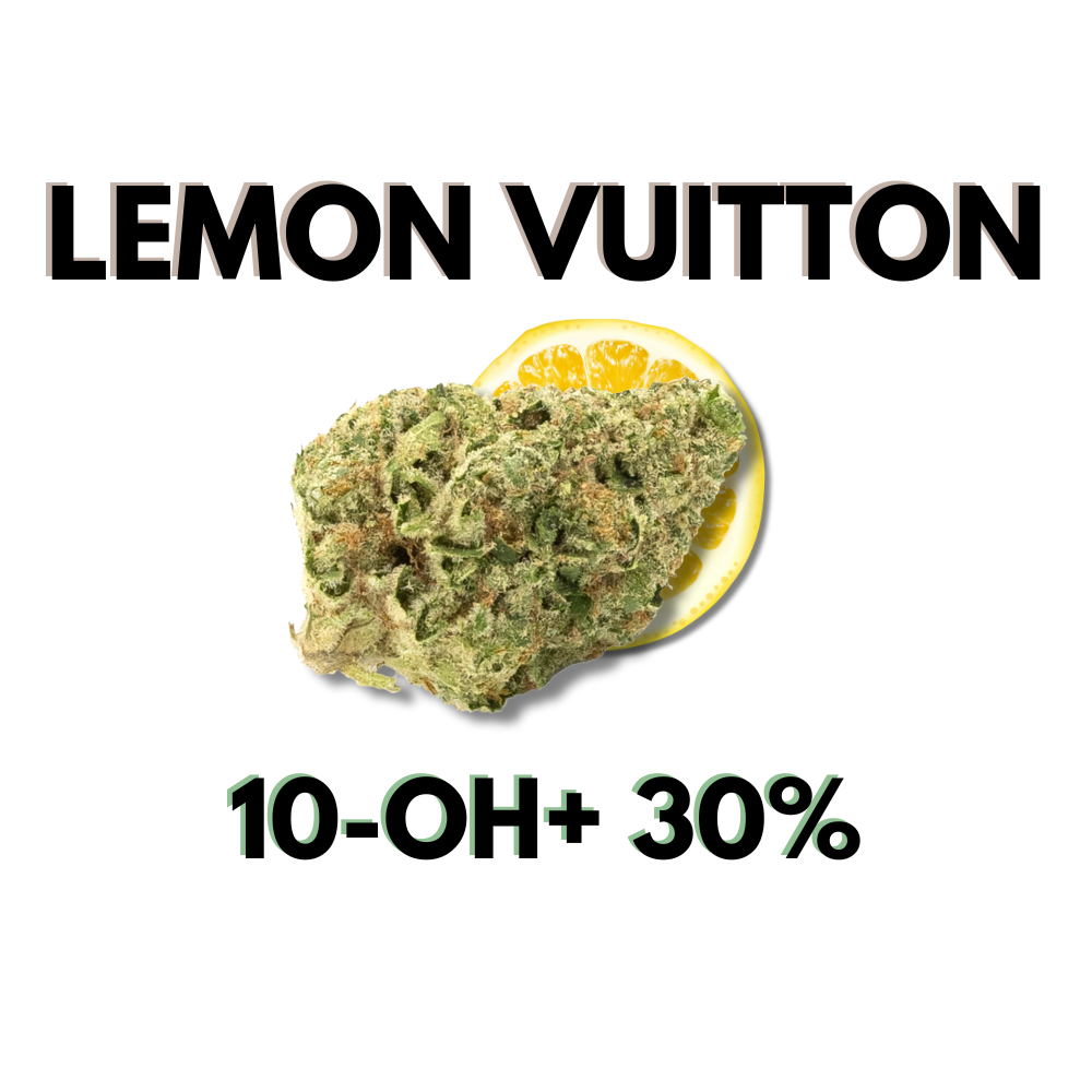 Fleur CBD Lemon Vuitton 10-OH+ 30% aux buds denses et résineux – CBD Garden