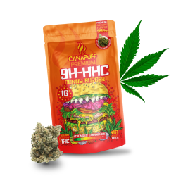 Fleur 9H-HHC 99% Donny Burger Canapuff CBD Garden