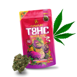 Fleur T8HC Gorilla Kush Cannapuff – variété puissante et relaxante
