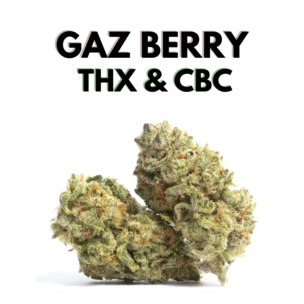 Fleur Gaz Berry THX / CBC sativa euphorique aux arômes fruités – CBD Garden
