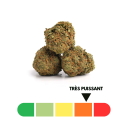 Master Kush Delta-10 THC 50% – Légende Kush d’Amsterdam enrichie pour une euphorie intense chez CBD Garden.