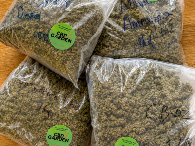 Où acheter du CBD dans le Morbihan ? Livraison 2 jours dans le 56