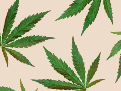 TAC vs 10-OH-HHC : quel cannabinoïde rare est fait pour vous ?